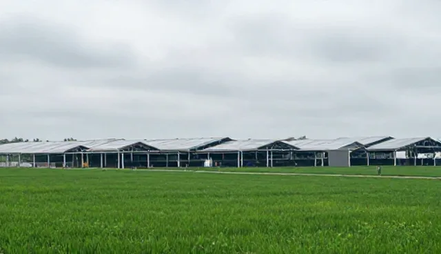 润滑油维护：使用建议与性能保持关键